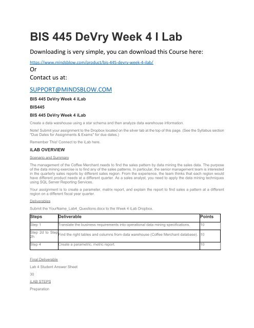 BIS 445 DeVry Week 4 I Lab