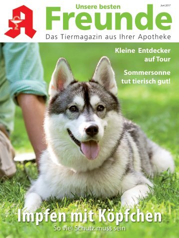 Leseprobe "Unsere besten Freunde" Juni 2017