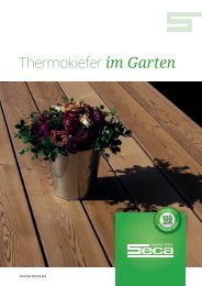 SECA Thermokiefer im Garten