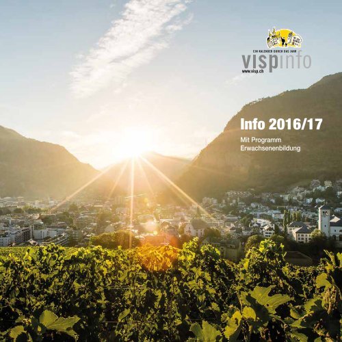 Visp_Info_16_17