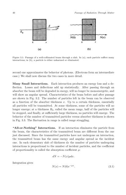 Subatomic Physics