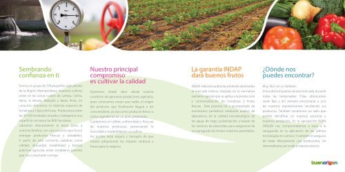 BROCHURE COMPLETO INDAP 2017