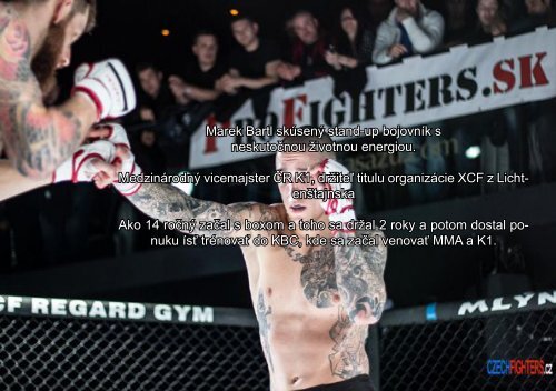 MMA