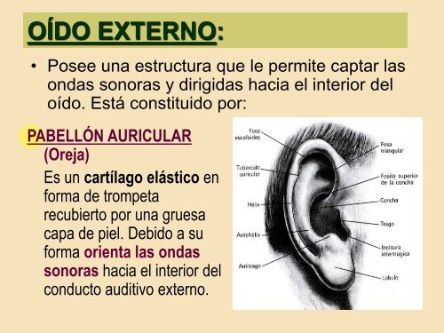 SENSASIONES SENSORIALES