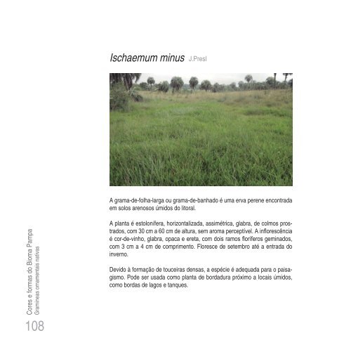 Cores e formas no Bioma Pampa - Gramíneas Nativas
