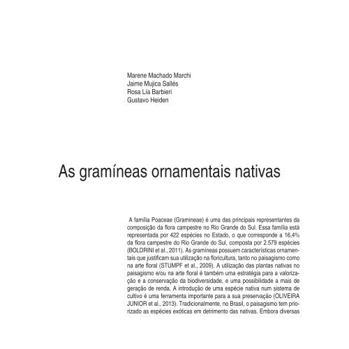 Cores e formas no Bioma Pampa - Gramíneas Nativas