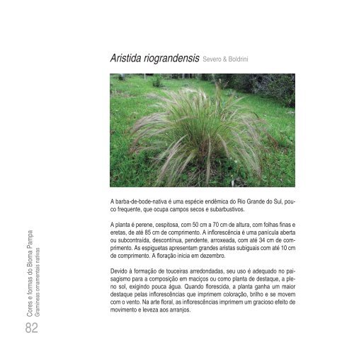 Cores e formas no Bioma Pampa - Gramíneas Nativas