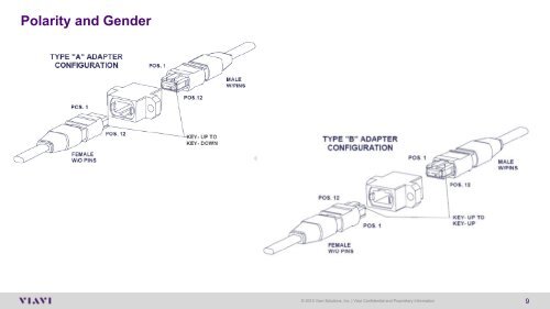 Testing_Parallel_Optics-MASTER (3)