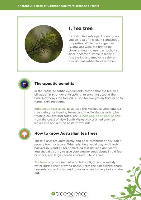 Tree Science eBook - Therapeutic Uses of Common Backyard Trees and Plants