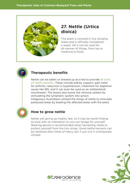 Tree Science eBook - Therapeutic Uses of Common Backyard Trees and Plants