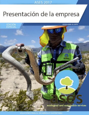 Presentación 2017