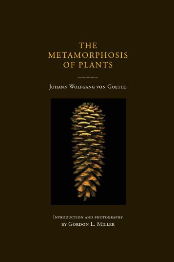 Libro - GOETHE - The Metamorphosis of Plants