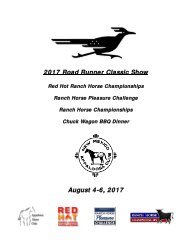 2017 Road Runner Classic Show Premium