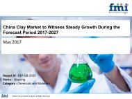 China Clay Market to Witness Steady Growth During the Forecast Period 2017-2027