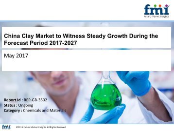 China Clay Market to Witness Steady Growth During the Forecast Period 2017-2027
