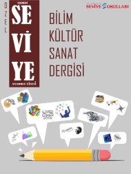 SEVİYE BİLİM SANAT KÜLTÜR DERGİSİ