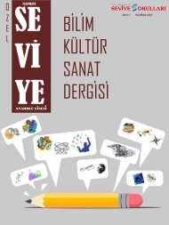 SEVİYE BİLİM KÜLTÜR SANAT DERGİSİ BİTİŞ