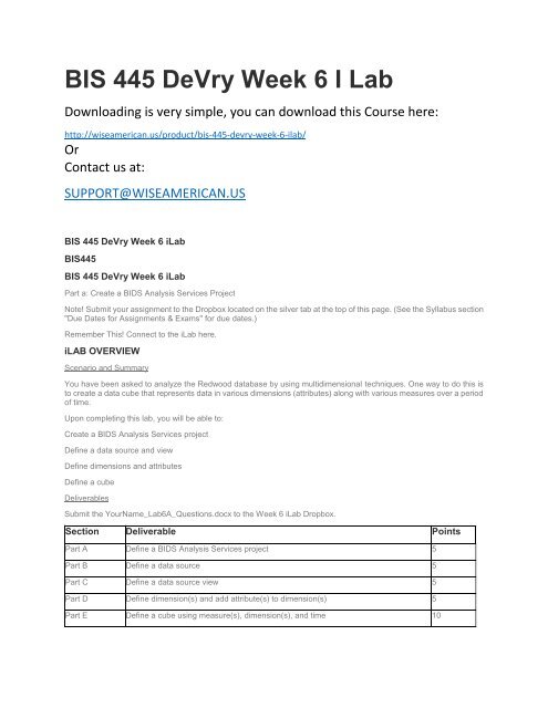 BIS 445 DeVry Week 6 I Lab