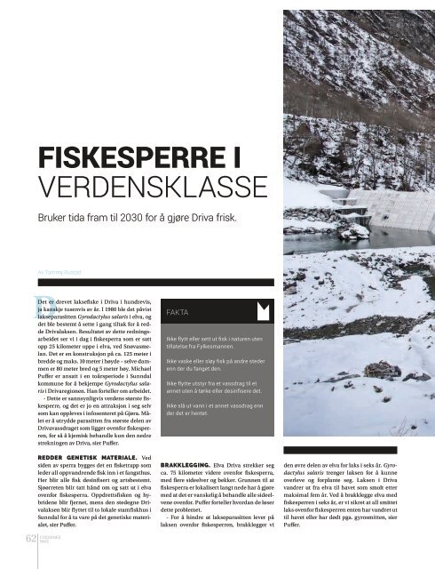 Fossenes rike - sommermagasin for Sunndal 2017