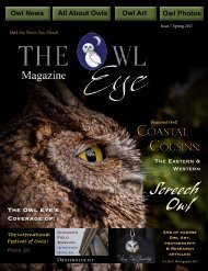 Owl Eye Issue 7_int