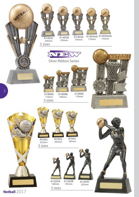 2017 Netball Trophies for Distinction