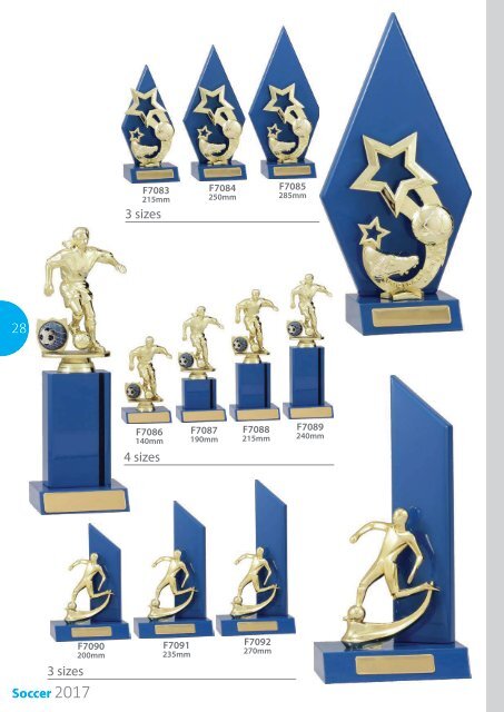 2017 Football Trophies for Distinction