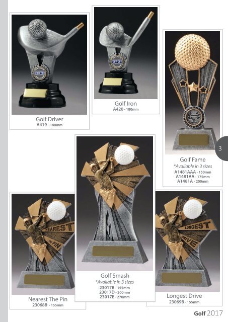 2017 Golf Trophies for Distinction