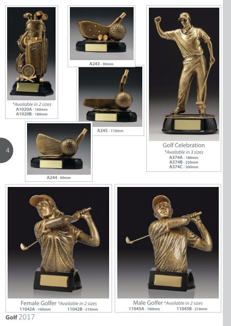 2017 Golf Trophies for Distinction