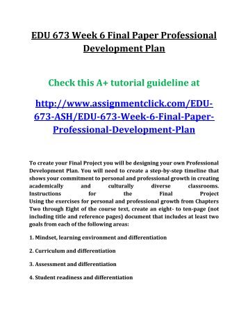 Professional development paper