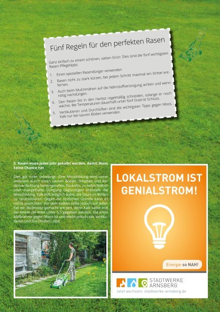BauLokal.de Magazin 2/2017 Sauerland / HSK + Hellweg Süd