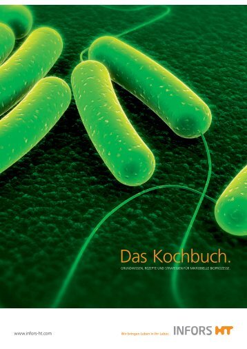 Das INFORS Kochbuch: Grundwissen, Rezepte und Strategien für mikrobielle Prozesse