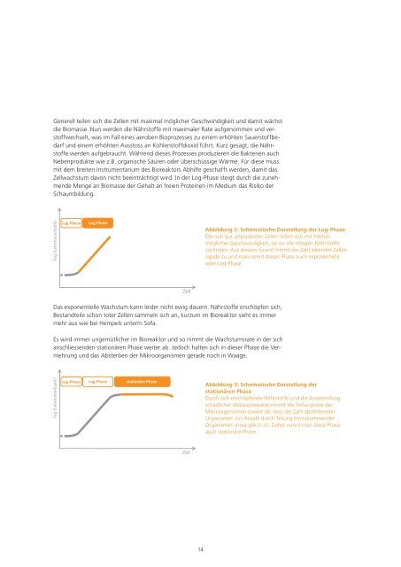 Das INFORS Kochbuch: Grundwissen, Rezepte und Strategien für mikrobielle Prozesse