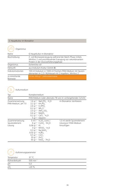 Das INFORS Kochbuch: Grundwissen, Rezepte und Strategien für mikrobielle Prozesse