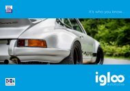 Igloo Automotive Brochure singles