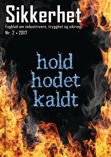 Sikkerhet 2017-2 nett