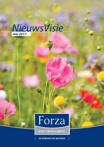 NieuwsVisie - editie mei 2017