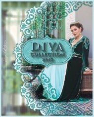 DIVA Collection 2017
