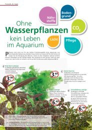 CO 2 Boden- grund Nähr- stoffe Licht Pflege - ZOO & Co. Betz in ...