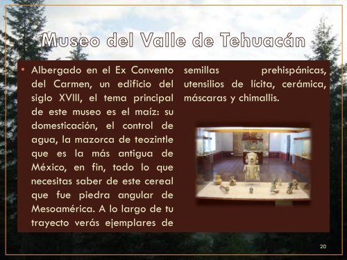 Tehuacán y sus maravillas