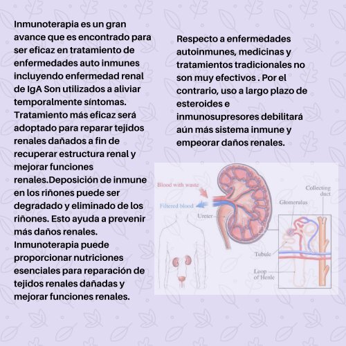 insuficiencia renal