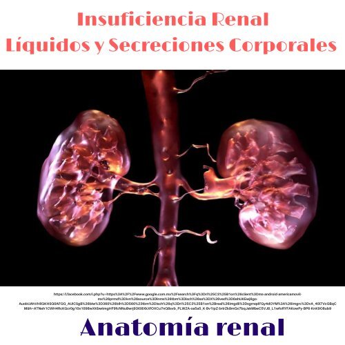 insuficiencia renal