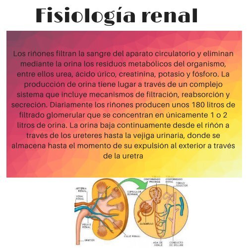 insuficiencia renal