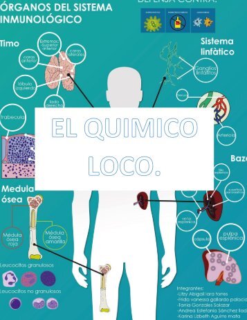 FRIDASISTEMA-RENAL.-REVISTA