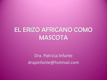 EL_ERIZO_AFRICANO_COMO_MASCOTA