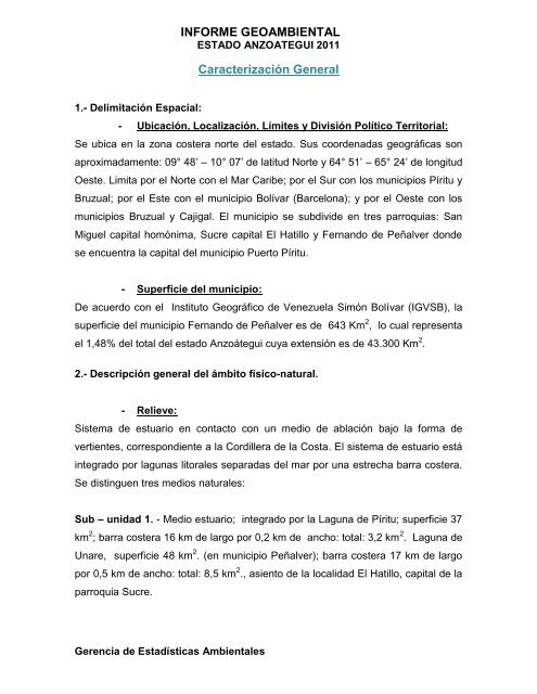 Informe_Geoambiental_Anzoategui