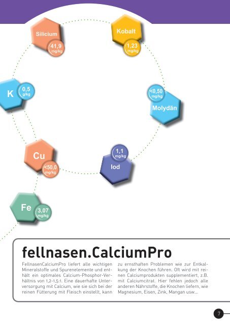 fellnasen.CalciumPro