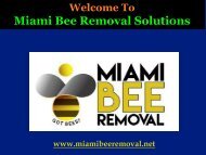 Bees Hive Removal Miami|Miami Bee Removal Corp