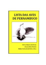 lista das aves de pernambuco - OAP - Observadores de Aves de ...