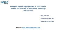 Intelligent Pipeline Pigging Market to 2025