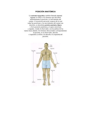 POSICIÓN ANATÓMICA